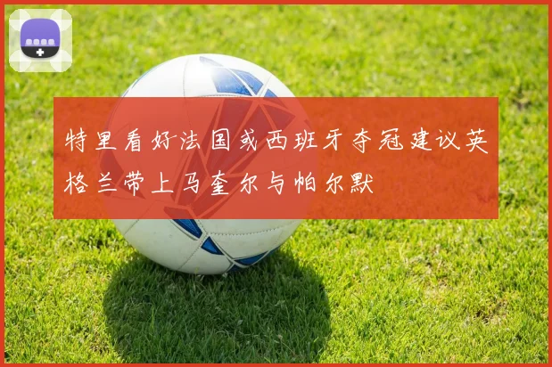 特里看好法国或西班牙夺冠建议英格兰带上马奎尔与帕尔默